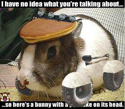 Polar+bear+slipping+on+ice